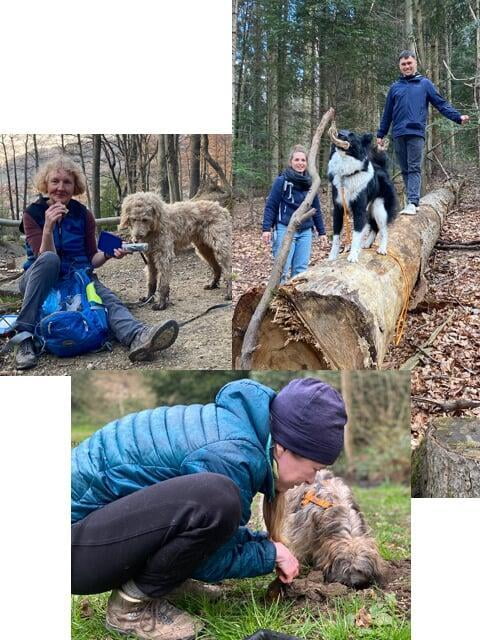 Menschen mit ihren Hunden im Wald beim Hundetraining