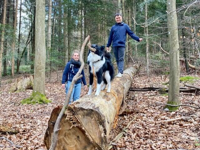 Hundebesitzer mit Hunden beim Hundetraining im Wald