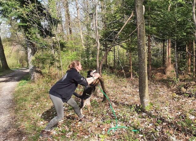 Frau mit Hund beim Hundetraining im Wald